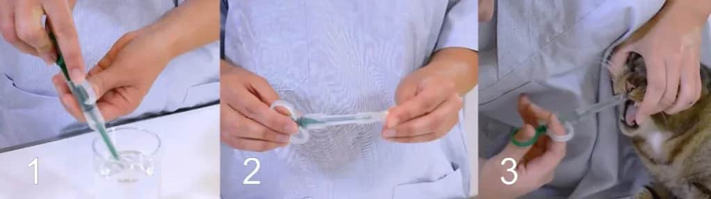 Aplikator do Tabletek dla Kota - Skuteczne i Proste Rozwiązanie