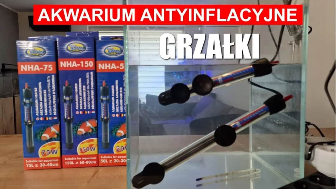 Jak ustawić grzałkę w akwarium: praktyczny kompletny poradnik instalacji