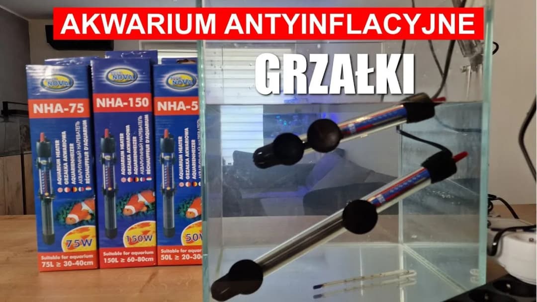 Jak ustawić grzałkę w akwarium: praktyczny kompletny poradnik instalacji