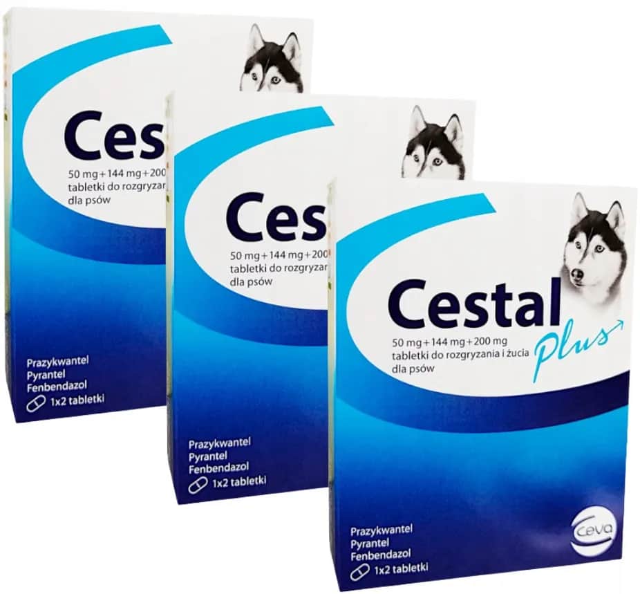 Cestal dla psa - Cestal Plus, Porady i Cena