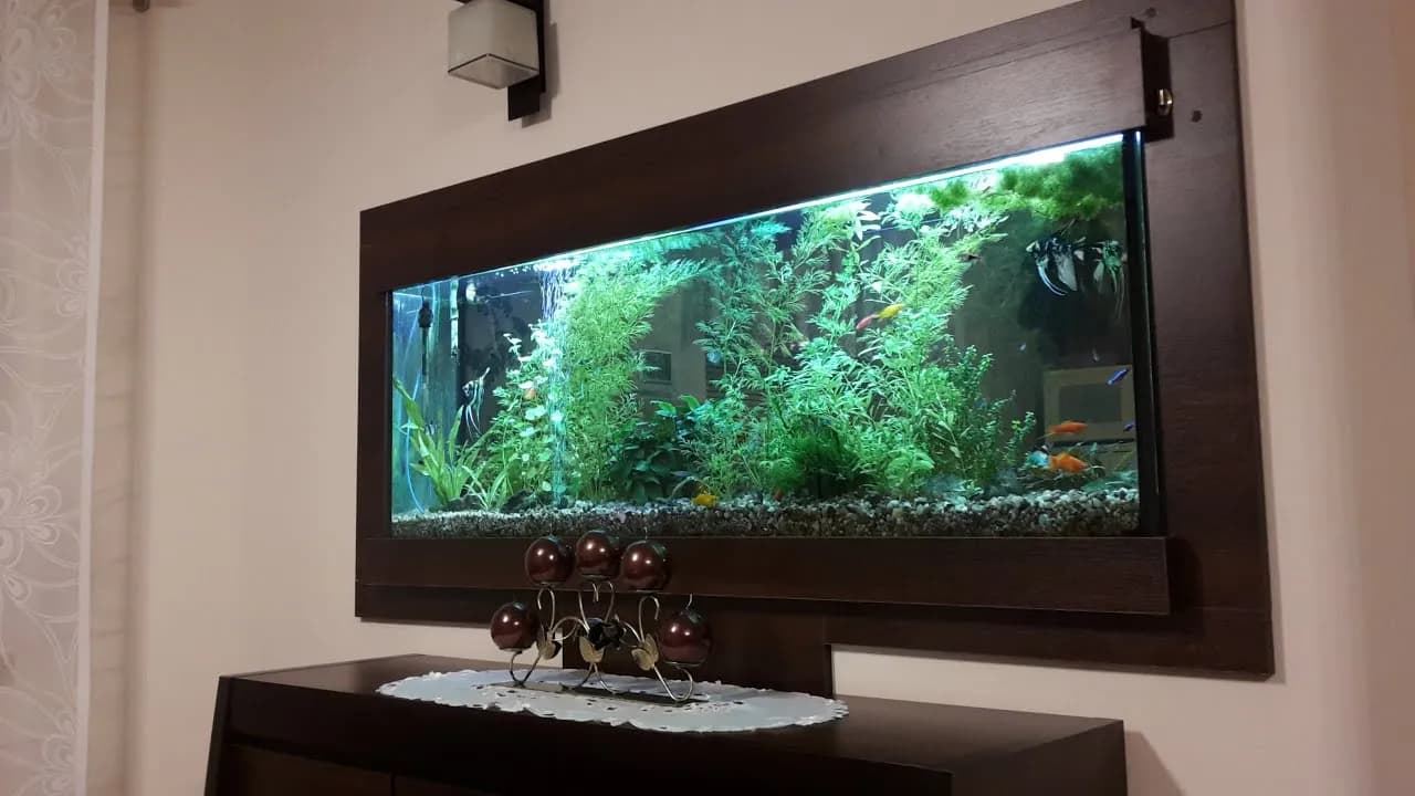 Jak zrobić akwarium w ścianie: krok po kroku do efektownej aranżacji