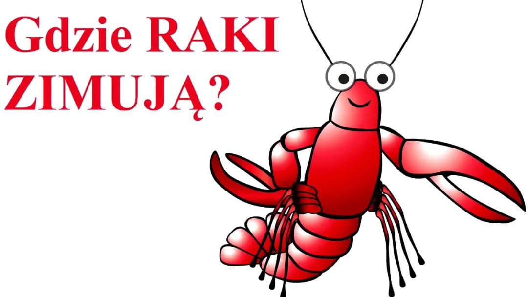 Gdzie raki zimują? Sekrety ich zimowania i naturalne środowisko życia