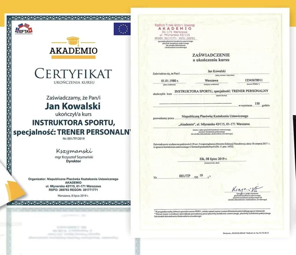 Jak zostać asystentem kynologicznym: kompletny kurs od podstaw