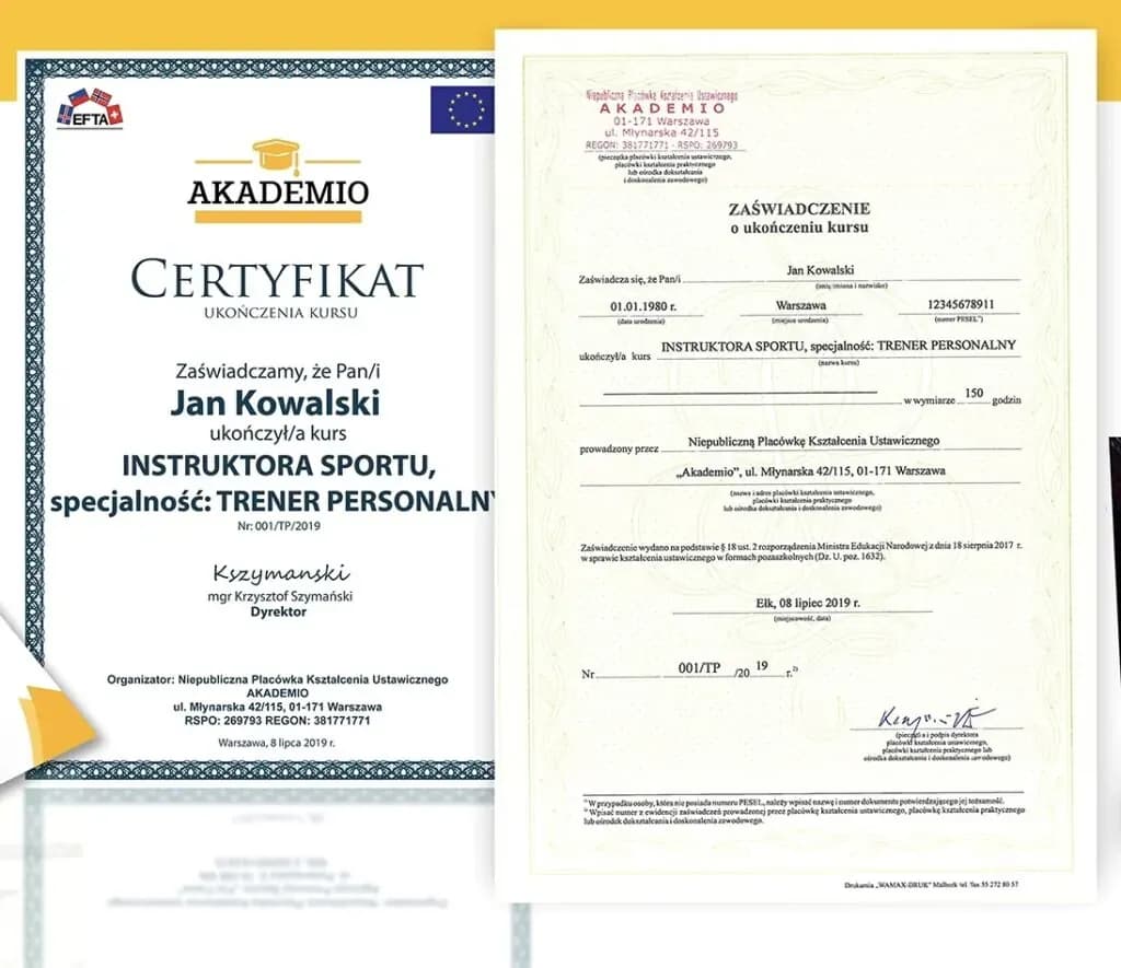 Jak zostać asystentem kynologicznym: kompletny kurs od podstaw