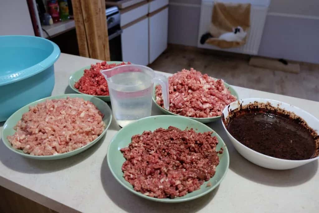 Domowy przepis na BARF dla kota: zdrowe i naturalne żywienie