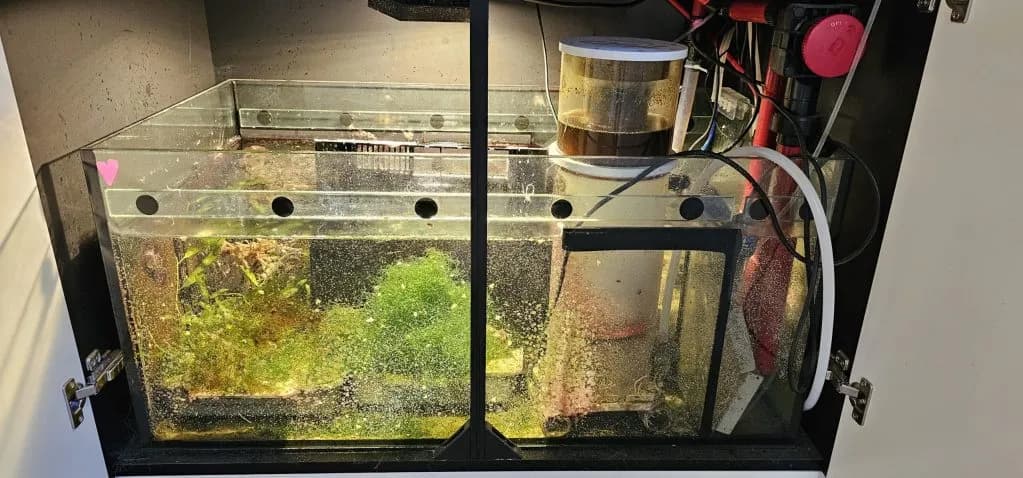 Prawidłowe zasolenie w akwarium morskim - kompletny poradnik dla akwarystów