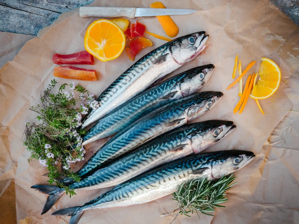 Czym się żywi makrela? Odkryj jej zaskakującą dietę morską