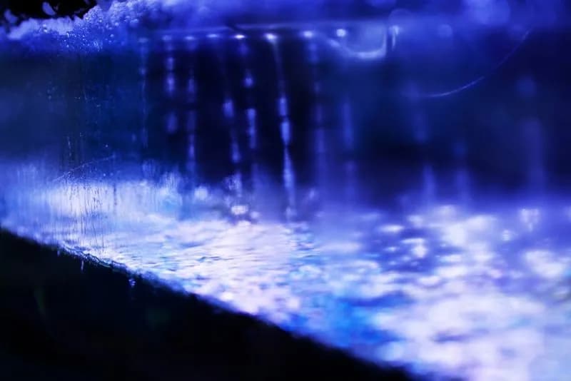 Czy deszczownica w akwarium to dobre rozwiązanie? Zalety i wady stosowania deszczownicy w akwarium