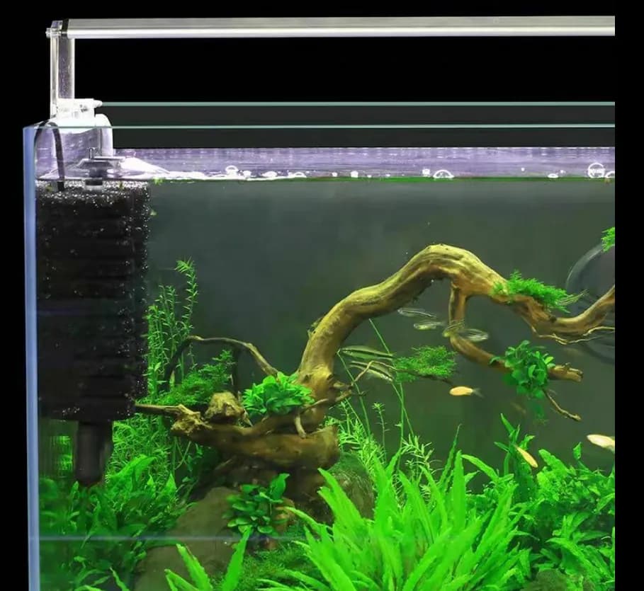 Jaki filtr do akwarium 120l? Top 5 najlepszych rozwiązań