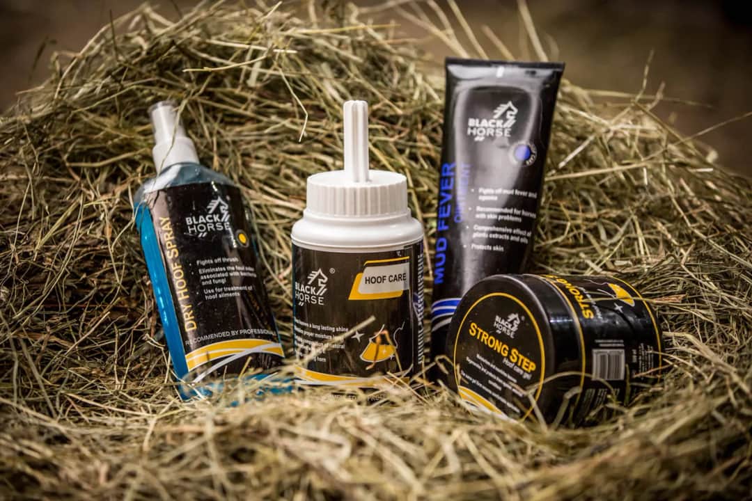 Drapak dla koni - Najlepsze rozwiązanie dla pielęgnacji kopyt