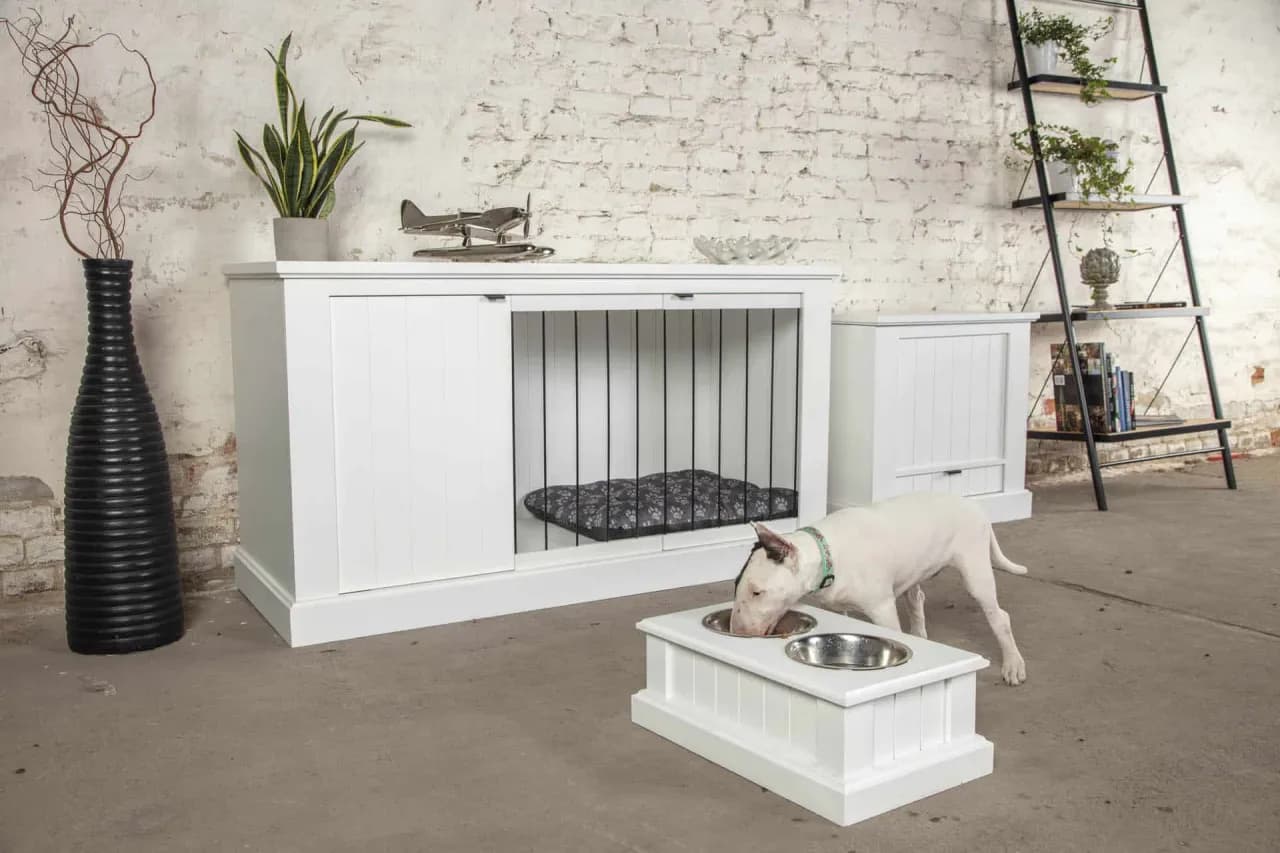 Jak elegancko urządzić meblową klatkę dla psa: praktyczny poradnik