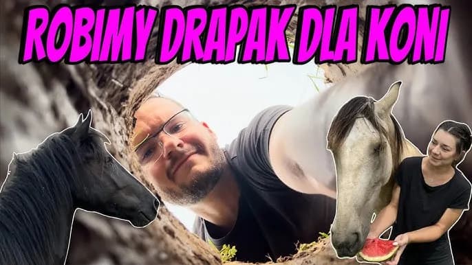 Drapak dla koni: wszystko co musisz wiedzieć przed zakupem - poradnik