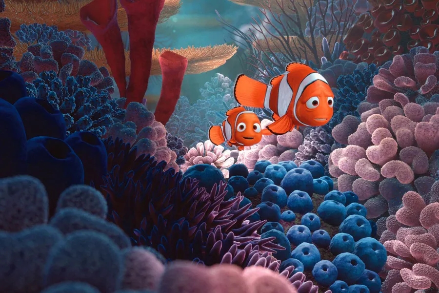 Gdzie jest Nemo? Najlepsze akwaria z bohaterami filmu dla dzieci