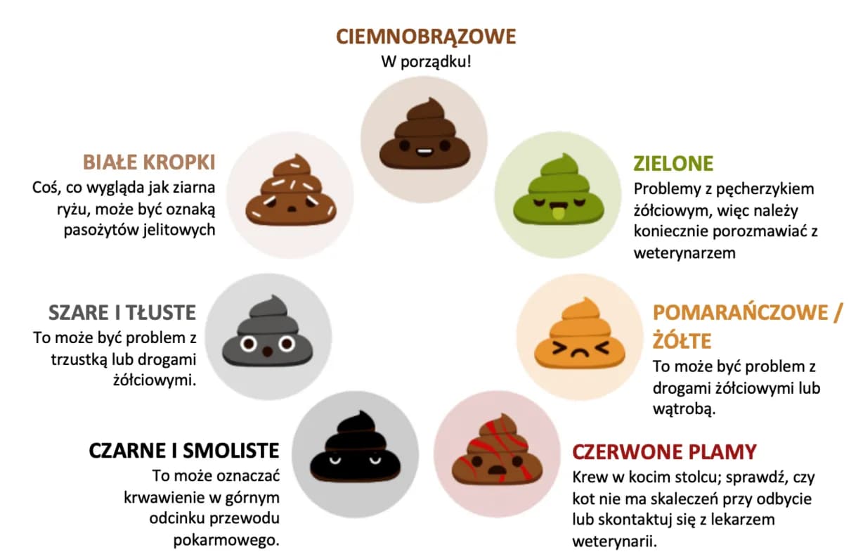 Jak rozpoznać różne rodzaje kupy u psa: Co oznacza jasna i ciemna kupa