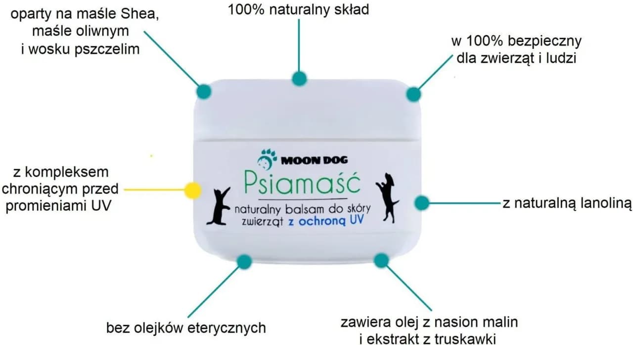 Jak prawidłowo stosować krem z filtrem dla zwierząt - poradnik ochrony pupila