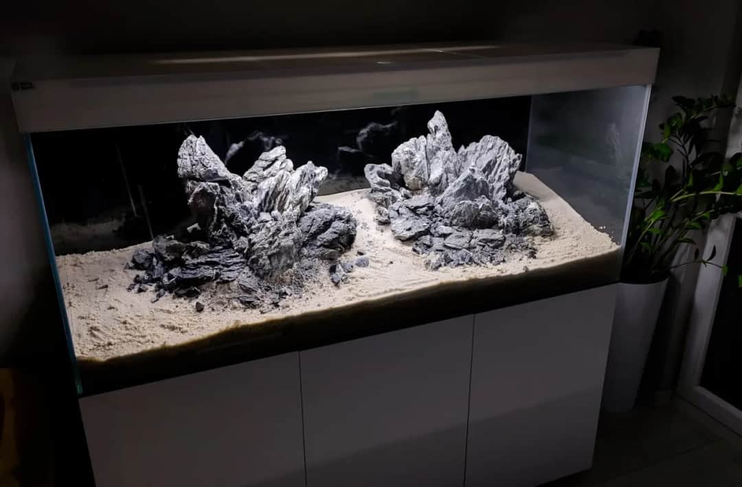 Akwarium Tanganika czy Malawi: poznaj różnice i wybierz najlepsze