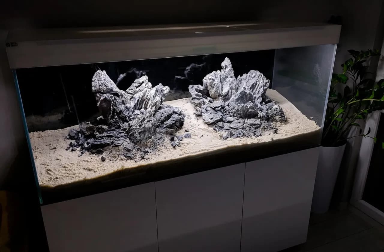 Akwarium Tanganika czy Malawi: poznaj różnice i wybierz najlepsze