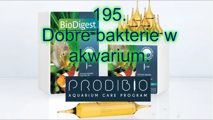 Jak prawidłowo i skutecznie dolewać bakterie do akwarium - kompletny poradnik