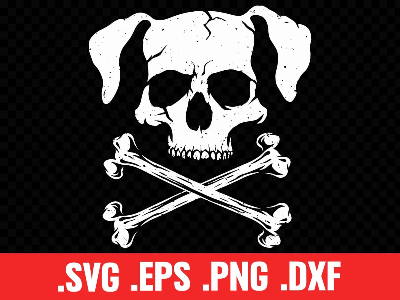 Gdzie kupić czaszkę psa: ceny, wymiary i najlepsze oferty 2025