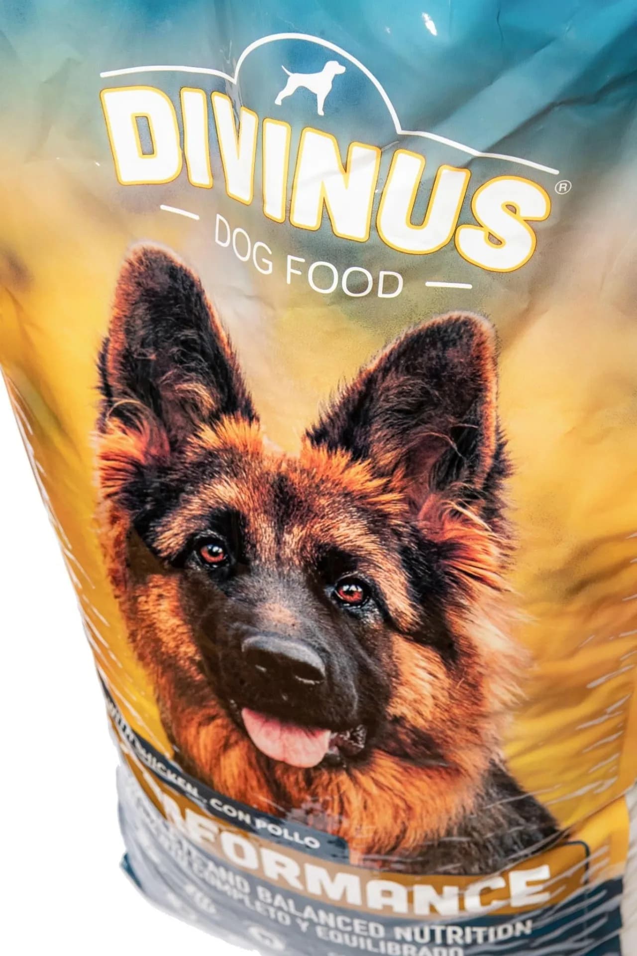 Ile gram karmy dla szczeniaka owczarka niemieckiego? Uniknij błędów w żywieniu!