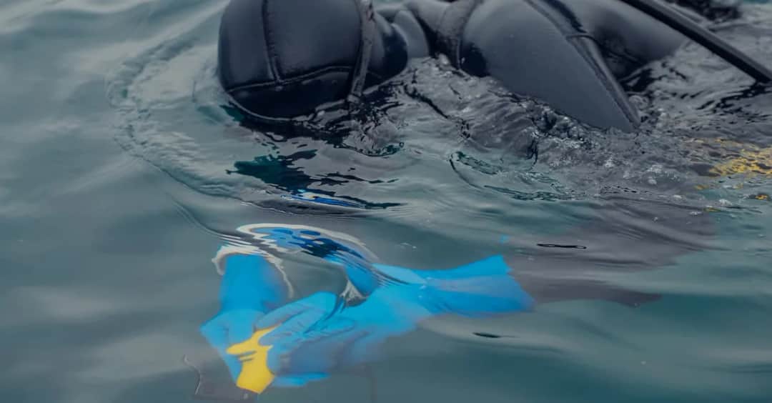 Dlaczego w serialu Rekrut nie pokazano delfinów w policji morskiej?