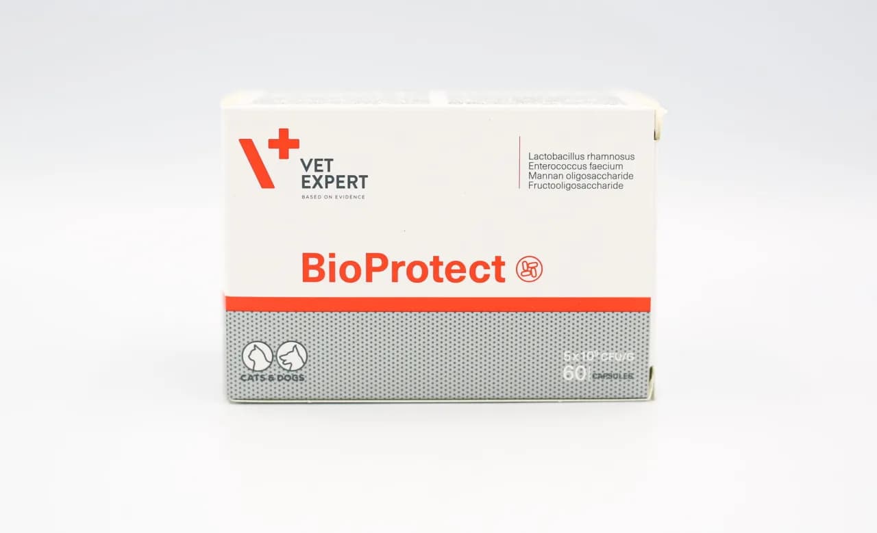 Bioprotect dla psa: skuteczne dawkowanie i zastosowanie probiotyku