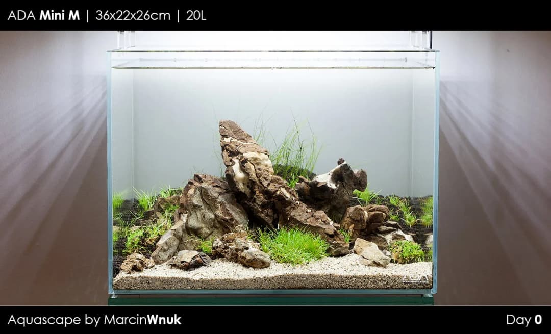 Gdzie znaleźć kamienie do akwarium: najlepsze miejsca i sprawdzone sklepy