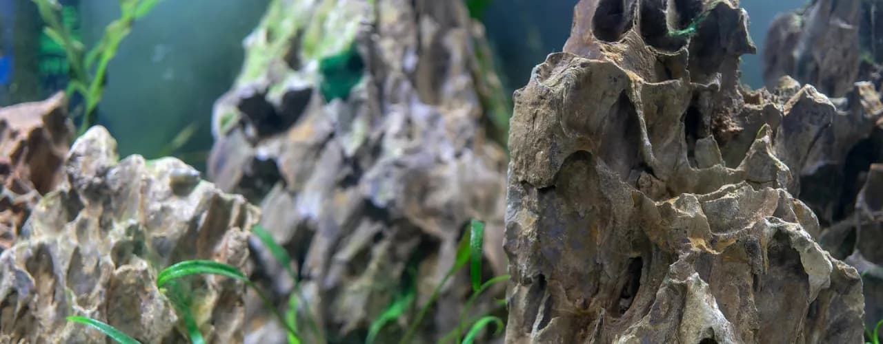 Najlepsze sposoby na klejenie kamieni w akwarium - poradnik akwarysty