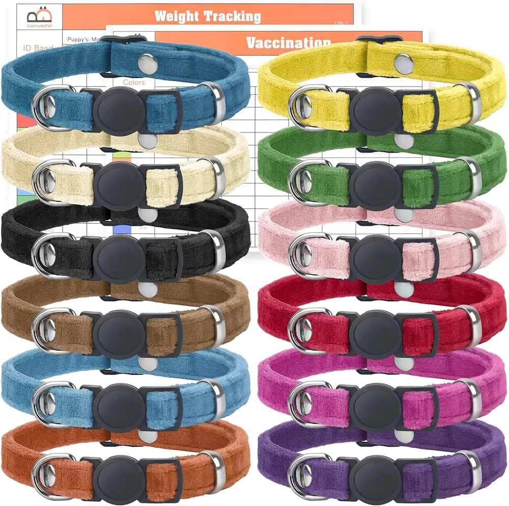 Obroże dla szczeniąt: jakie są najlepsze i na co zwrócić uwagę przy wyborze?