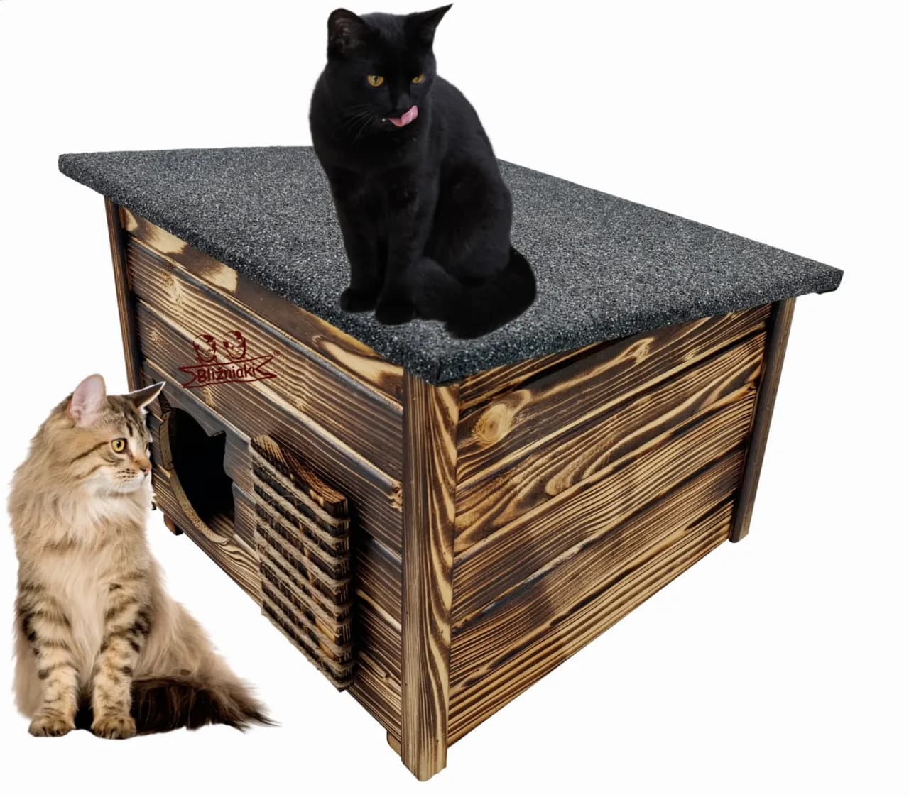 Jak wybrać najlepszą budkę dla kota ocieplaną - wszystko co musisz wiedzieć