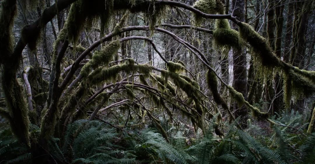 7 najpiękniejszych polskich aktorek w filmach o naturze