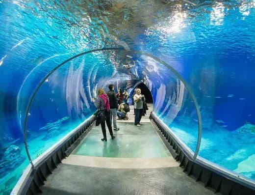 Oceanarium Kołobrzeg godziny otwarcia - nie przegap wizyty!