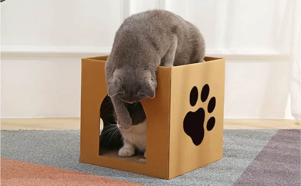 Drapak dla Kota Duży - Brytyjski, Bezowy, Z Kartonu