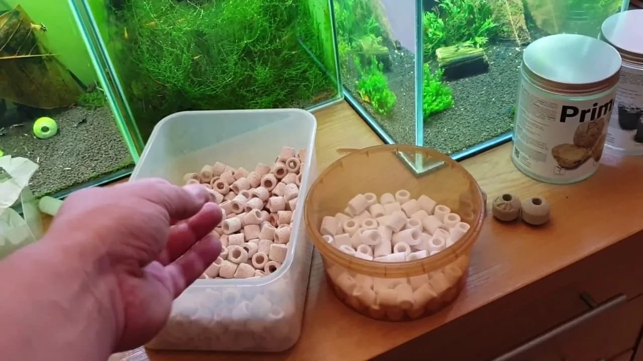 Rola ceramiki w filtrze akwarium - dlaczego warto ją stosować?