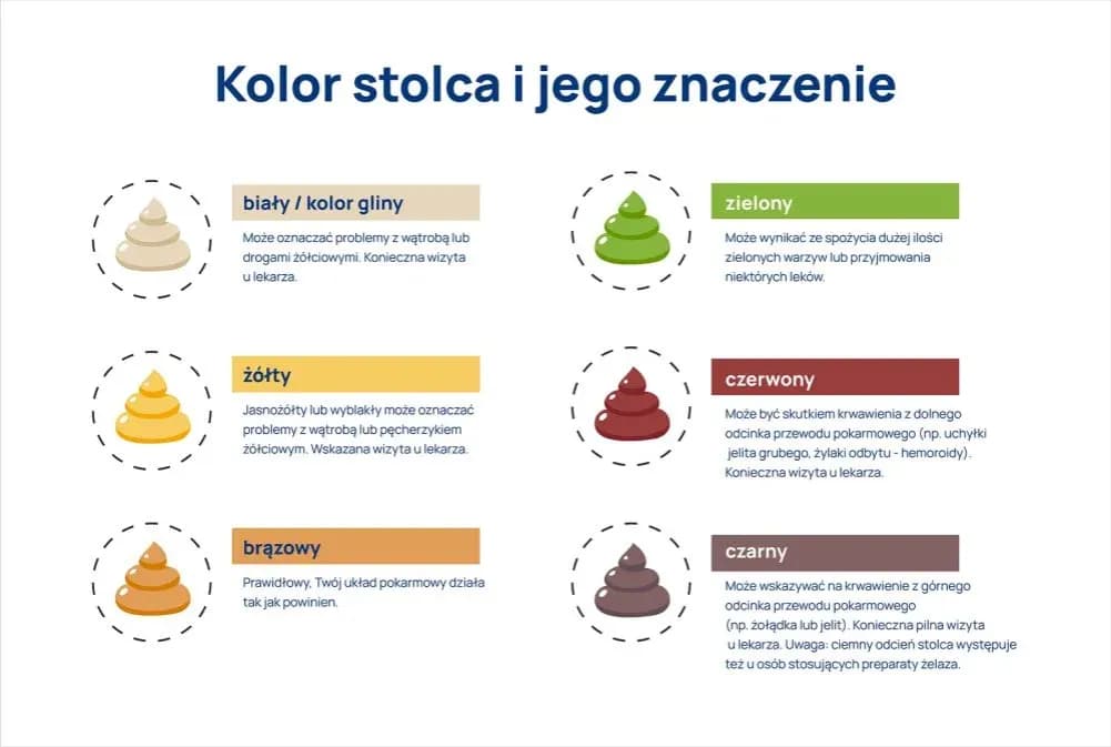 Kolory stolca u kota: Co oznaczają zmiany w kolorze kału?