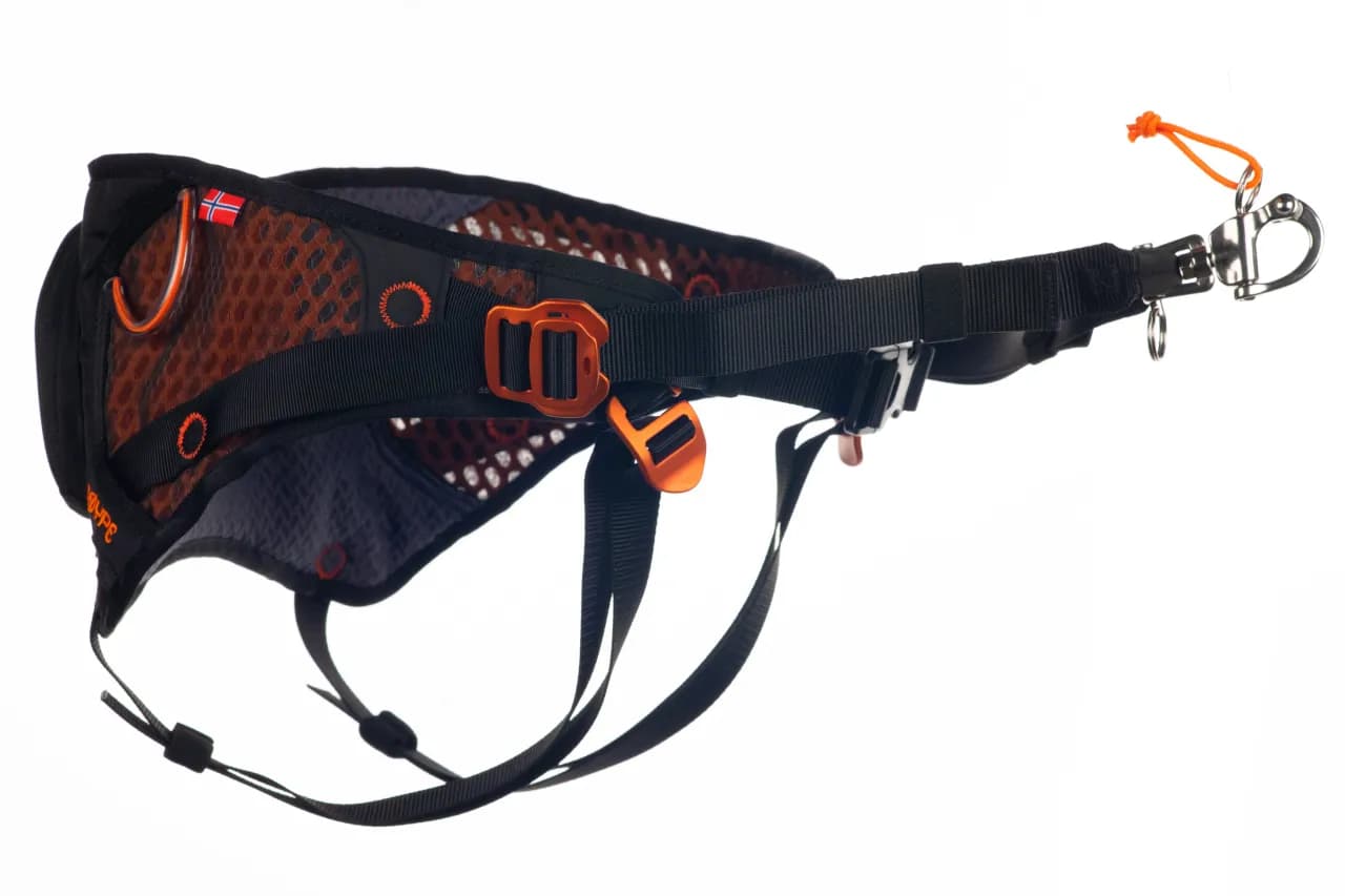 Pas do dogtrekkingu - jak wybrać najlepszy model dla siebie i psa