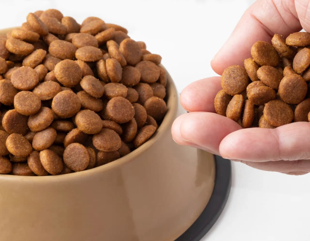 Karma hipoalergiczna: Co to jest i kiedy stosować dla zwierząt?