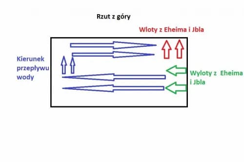 Prawidłowe ustawienie wylotu filtra w akwarium - kompletny poradnik