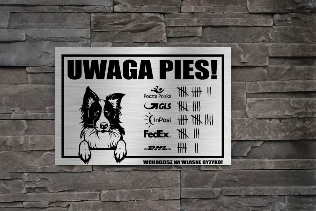 Jak zrobić tabliczkę border collie: skuteczne oznaczenie posesji z psem