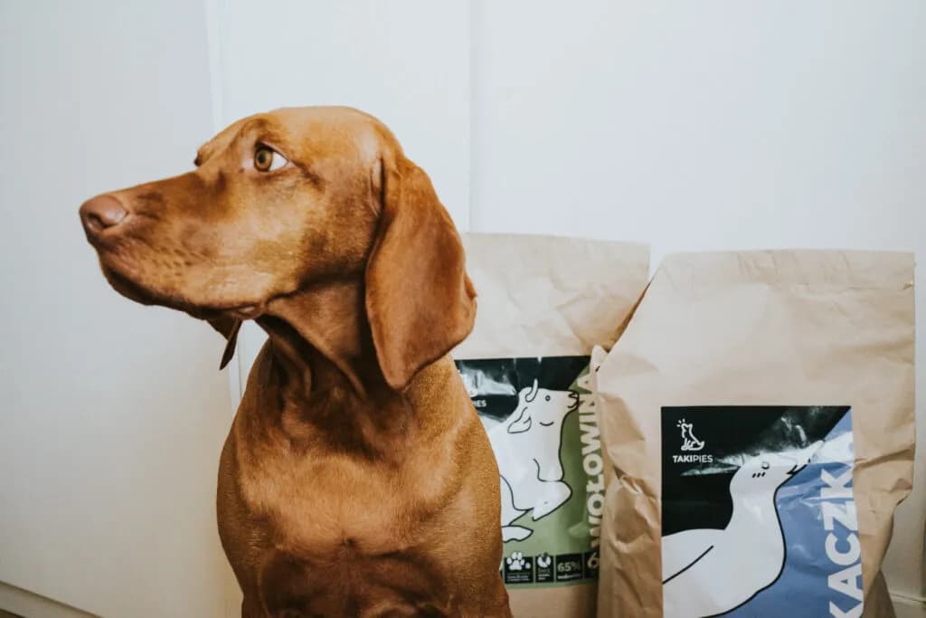 Karma TAKIPIES - wszystko o naturalnym odżywianiu twojego psa bez zbóż
