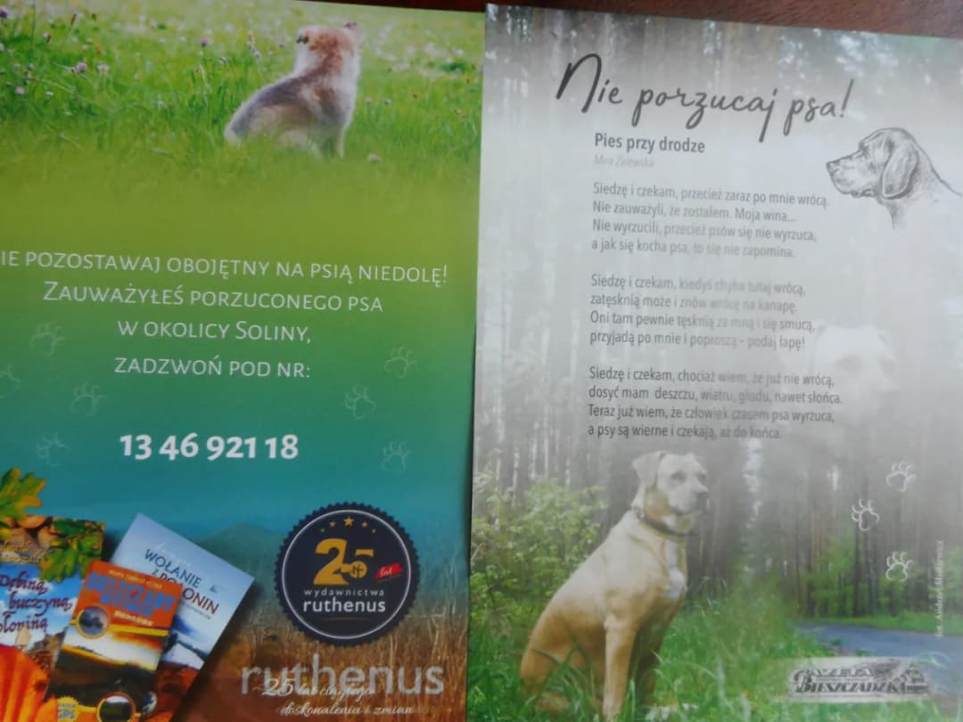 Poznaj prawdziwe powody dlaczego pies jest wierny swojemu właścicielowi