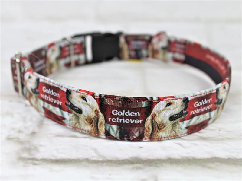 Jak dobrać idealną obrożę dla golden retrievera - kompletny poradnik