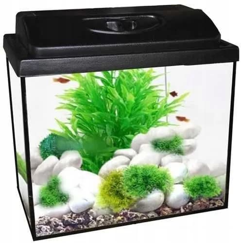 Akwarium 40x25x25: Ile litrów wody pomieści? Sprawdź obliczenia